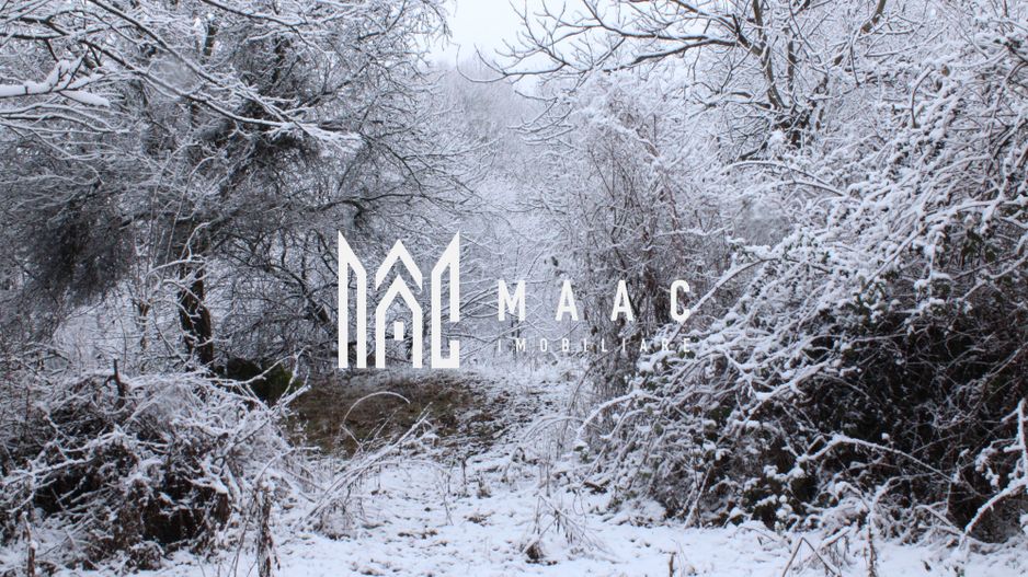 Teren cu izvor de apă minerală  Dangești, Punctul Valea Mare - Poză 23