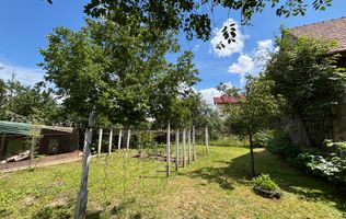 Casă individuală de vânzare în Turnișor | Curte superbă 585 mp