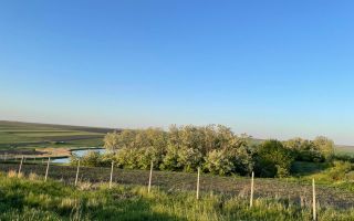 Intravilan preț mic - Poză 1