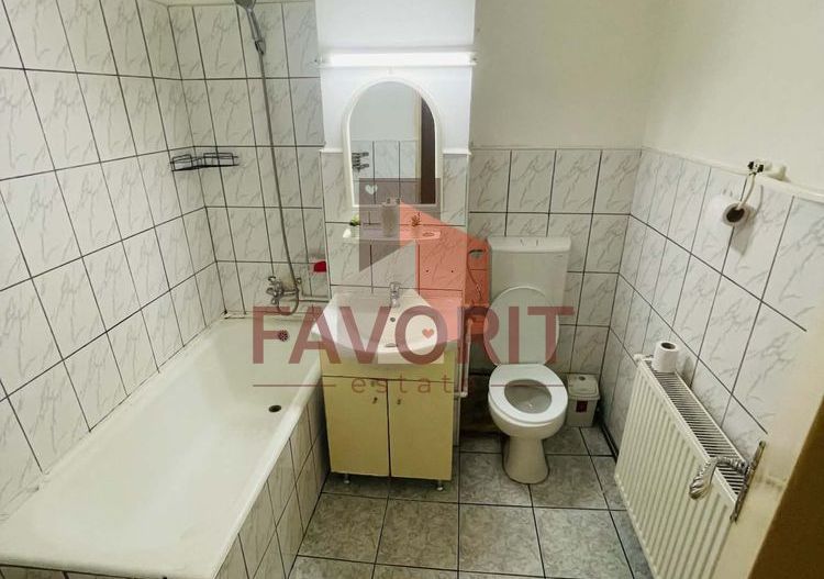 Apartament cu 2 camere | Centrala | Zona Lipovei | Pet Friendly - Poză 8