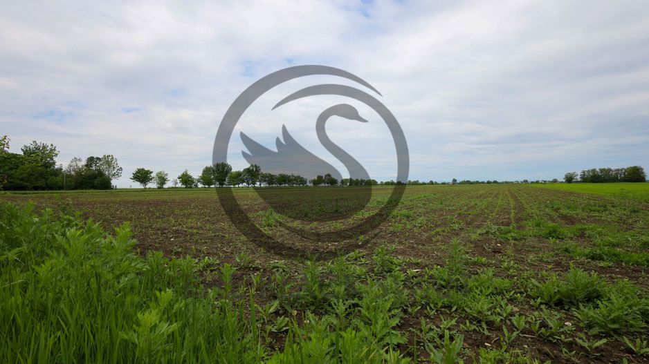 Teren de vanzare in Manesti, Prahova | 18.000 mp | Deschidere 60 ml - Poză 2