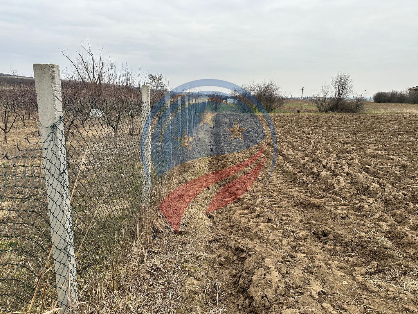 Teren 935mp Bradesti / Strada Valea Rea - Poză 4