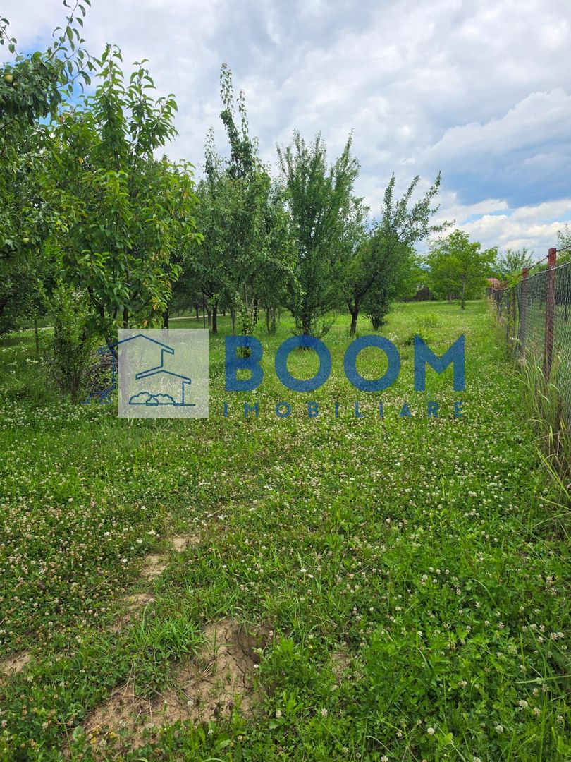Casa Calimanesti | Teren 1700 mp | Centrala proprie - Poză 8