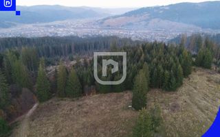 Teren situat in Frasin | BUCOVINA - Poză 4