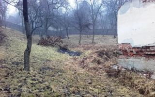 TEREN INTRAVILAN 3270 MP, CAMPULUNG - Poză 5