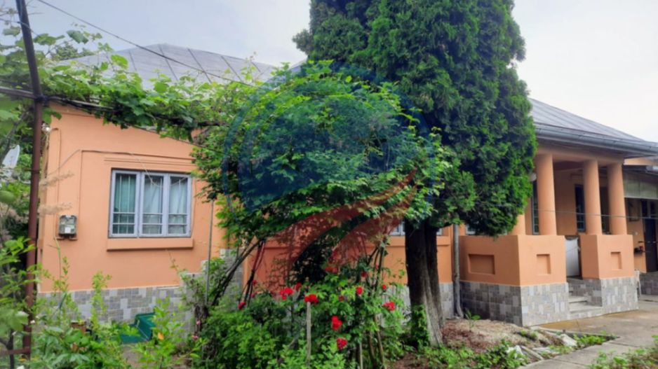 Casa de vanzare/Balcesti/Valcea/Str Pietii - Poză 18