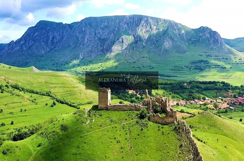 Teren de vanzare – Rimetea, Alba | 9000 mp - Poză 1