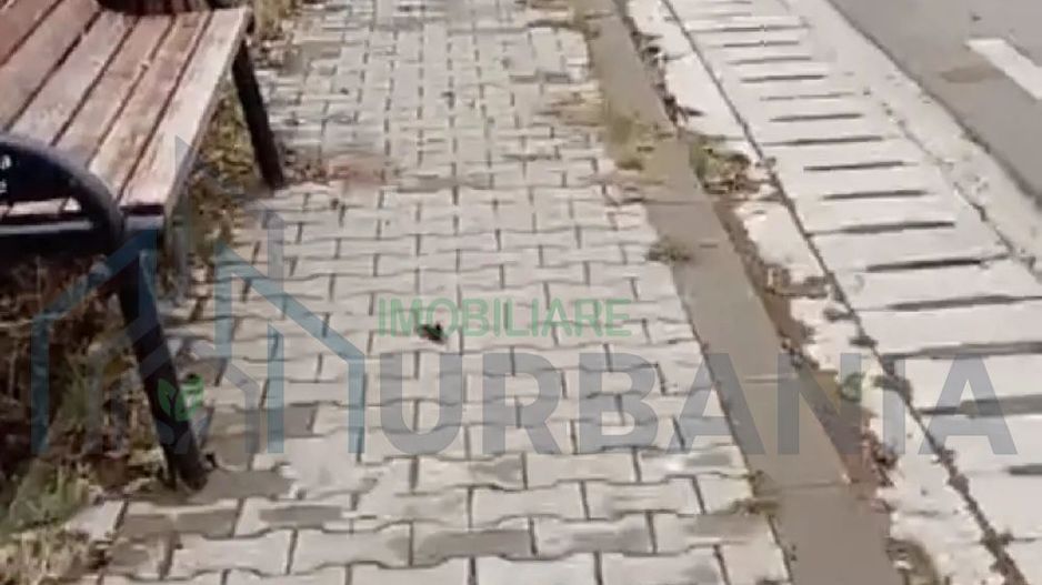 Vând casă cu teren - Poză 2