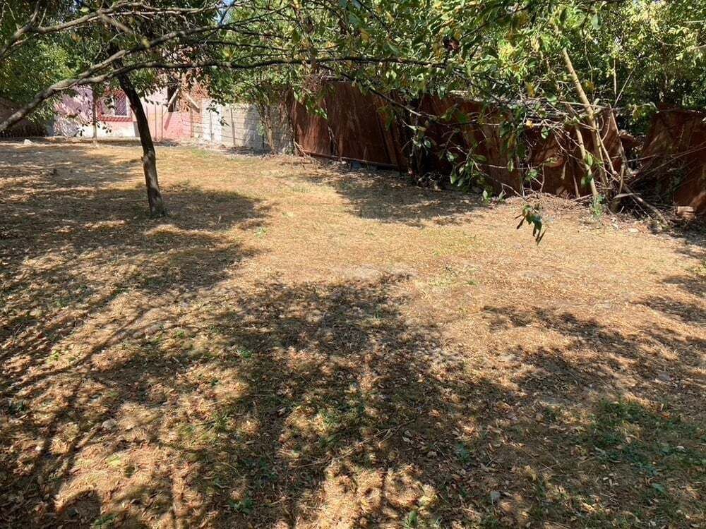 Casă veche pe teren de 540 mp, ideal pentru construcție, în Fratelia - Poză 6