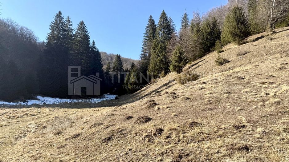 Teren intravilan langa Poiana Brașov, 52 mp front strdal, Utilitati in zona - Poză 6
