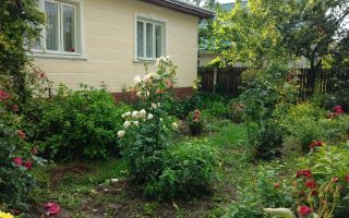 Casă cu teren în Deleni, Iași - Stradă principală - Poză 5