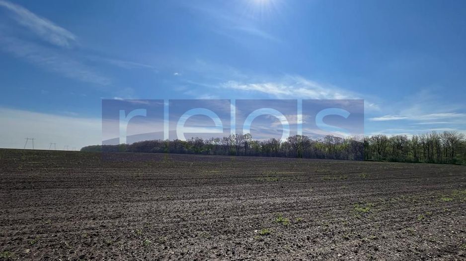 Teren Vadu Anei langa padure 1300 mp - Poză 6