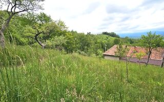 Domeniu Premium 1.7 Ha Intravilan Zărnești | Lizieră Pădure | Ideal Resort - Poză 6