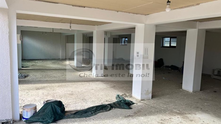 Spatiu comercial prin destinatie - 176mp - bucium - visan - Poză 3