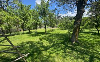 TEREN INTRAVILAN 3477 MP STOENEȘTI BĂDENI ARGEȘ - Poză 16