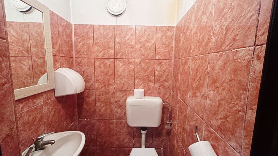 Spatiu comercial de vanzare zona Bou Rosu - Poză 5