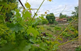 BRASADAS vinde casa individuala 8 cam 8.6a zona Baritiu. - Poză 22