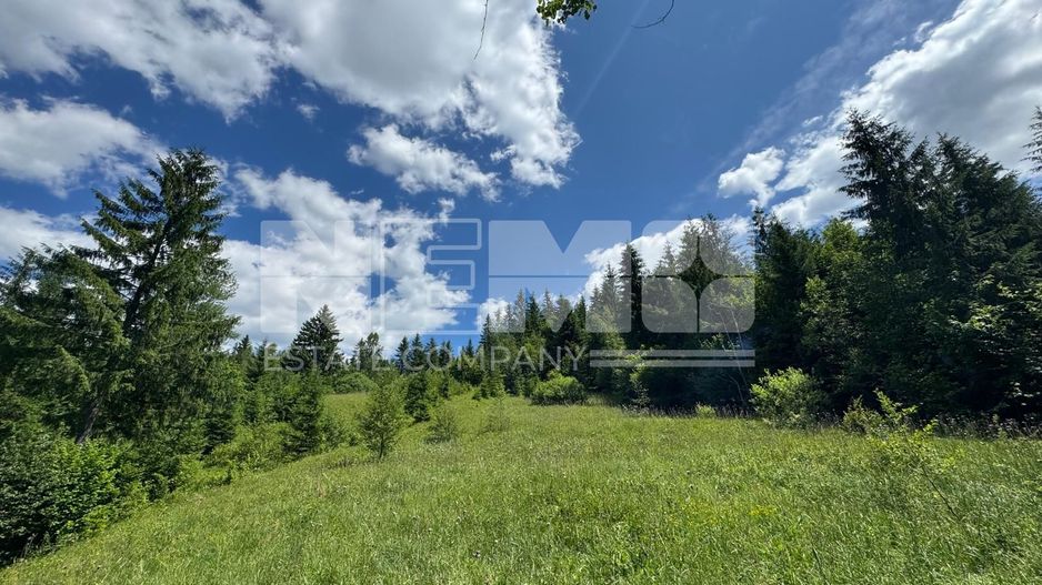 TEREN EXTRAVILAN DE VANZARE | CAMPULUNG MOLDOVENESC | 258.720€ - Poză 3