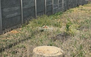 NECTORA IMOB-Teren Intravilan, Str. Piersicilor, 1165 mp, Utilitati - Poză 4