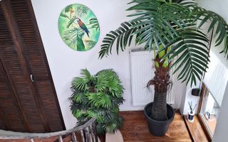 Vila deosebita de vanzare in cartierul Andrei Muresanu - Poză 8