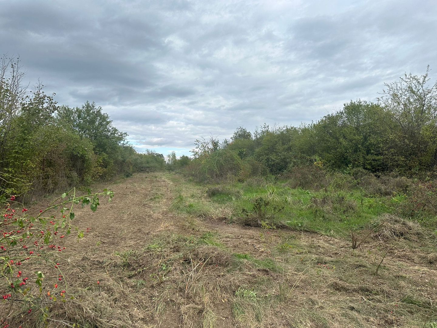 6300 mp teren Pasarea cu deschidere la lac - Poză 5