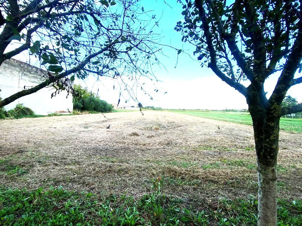 Terenuri de vânzare Boldur - Poză 3