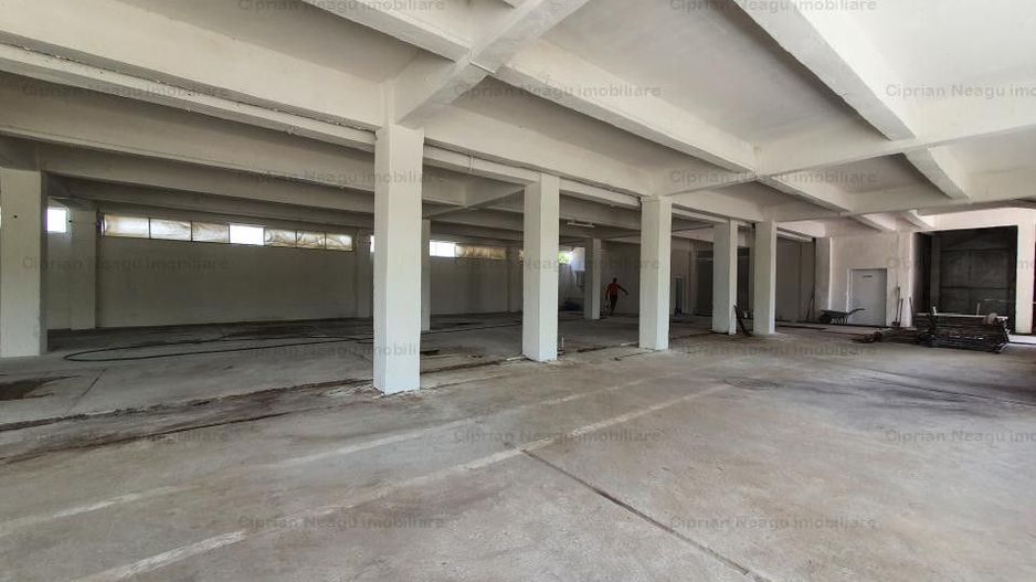 Hala Depozitare de Inchiriat Pitesti - Poză 7