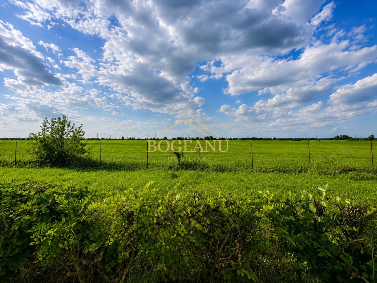 BG141-Teren-46.400 mp-Front 300 ml acces TIR | INCONTRO-Calea Sagului - Poză 5