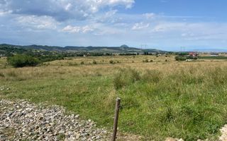 Teren de vanzare in  Tohanu Nou-Sohodol 6200 mp - Poză 5