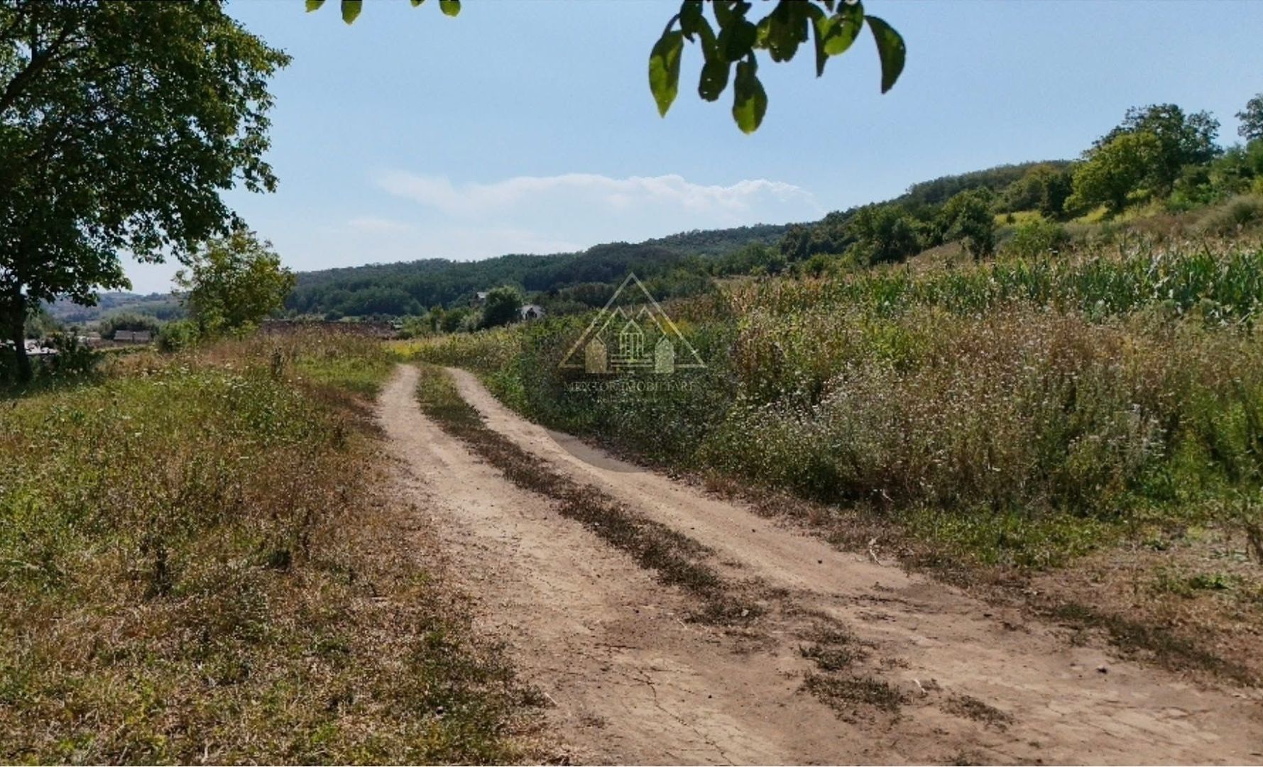 Teren intravilan Medias - de vanzare - Poză 4