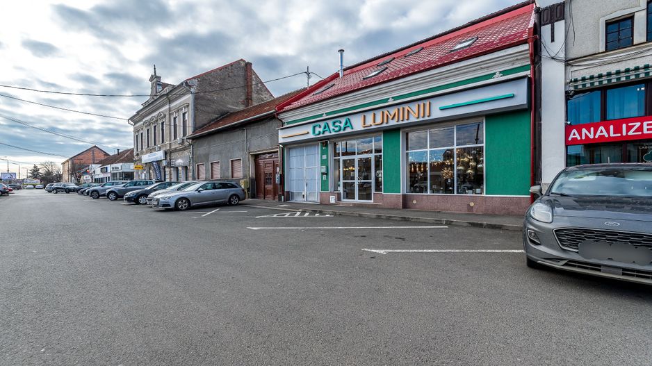 3 surse de venit într-o SINGURĂ proprietate de 950 mp în Aradul Nou - Poză 1