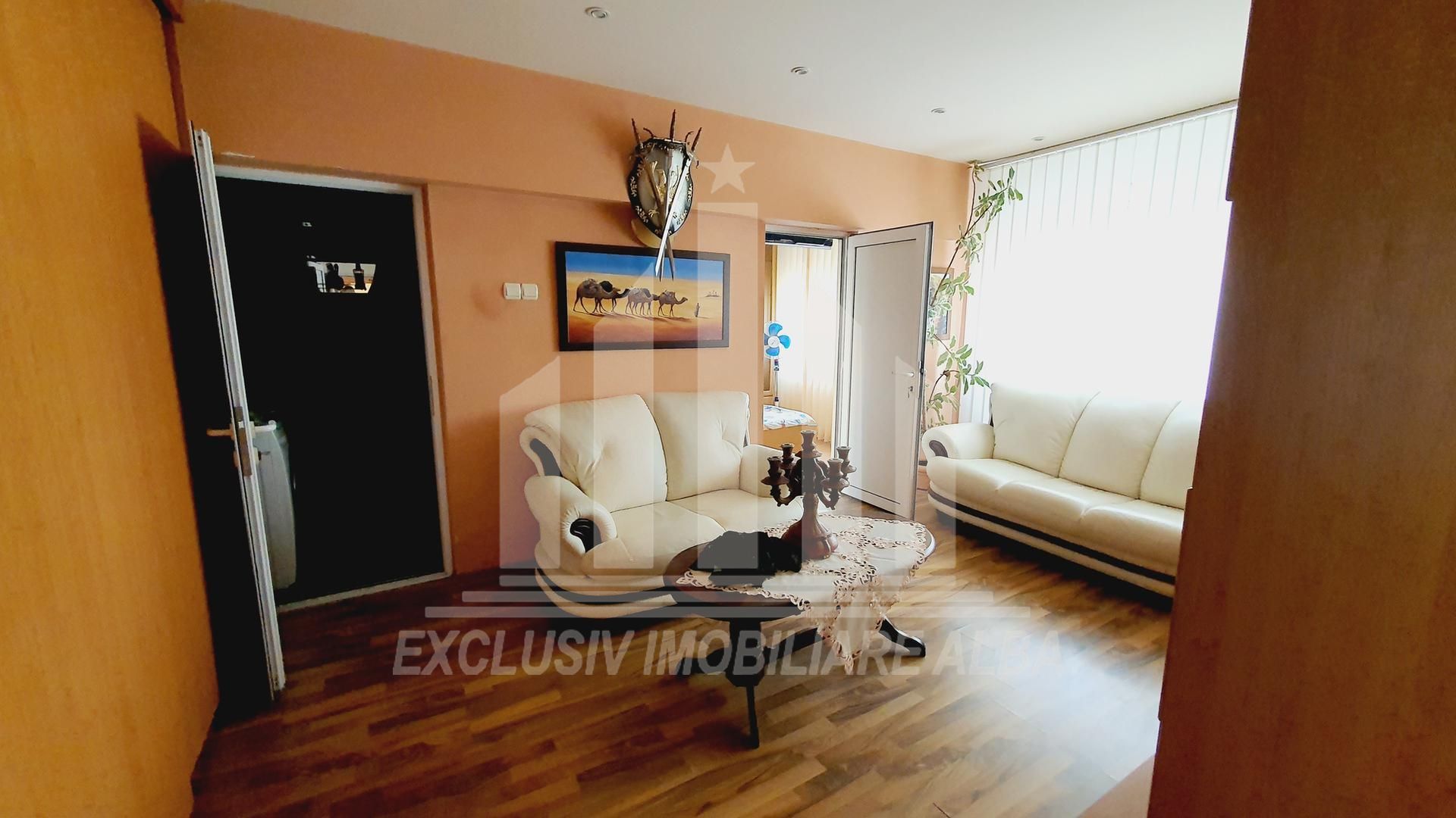 Apartament cu 3 camere de vanzare, etaj 1, Cetate - Poză 5