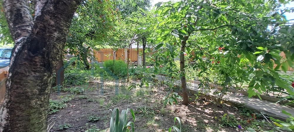 Teren 366 mp cu construcții în zona centrală a Iașului, acces direct din stradă - Poză 6