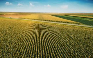 Teren intravilan, 1600 mp, utilitati in zona, Ampoita, Alba Iulia - Poză 1