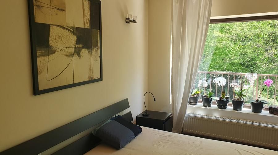 Vila langa padurea Baneasa, zona Liceul Francez, Sector 1, Bucuresti - Poză 5