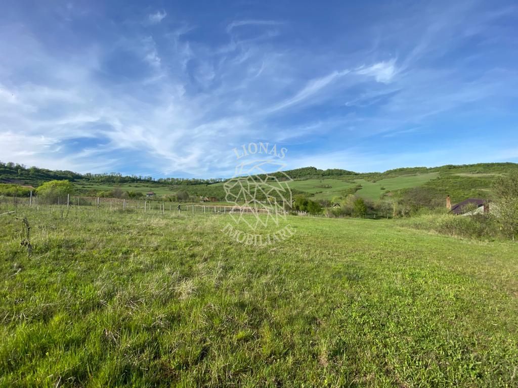 Teren 2160 mp - pretabil pentru cabana - investitie - Jelna - Poză 6