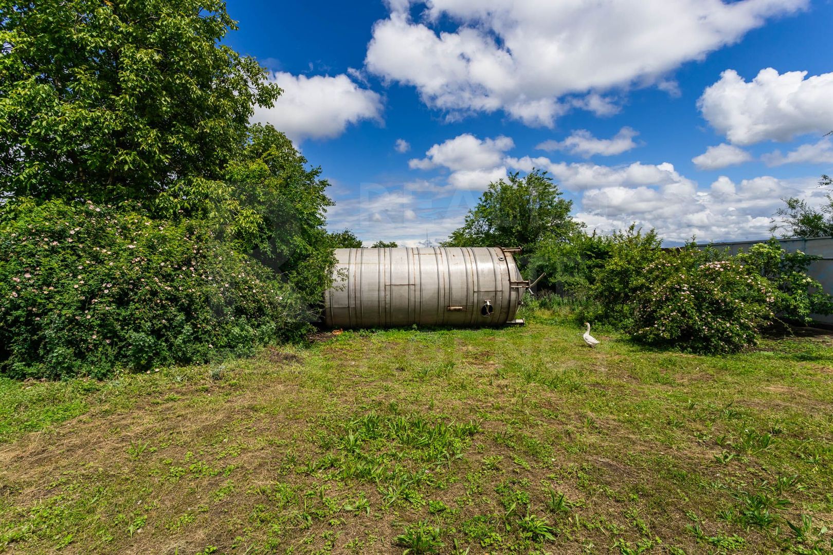 Vânzare,teren pentru construcție,1,18 ha, satul Maximovca, Anenii Noi - Poză 13