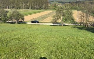 TEREN 4568 MP MIHĂEȘTI ARGEȘ - Poză 12