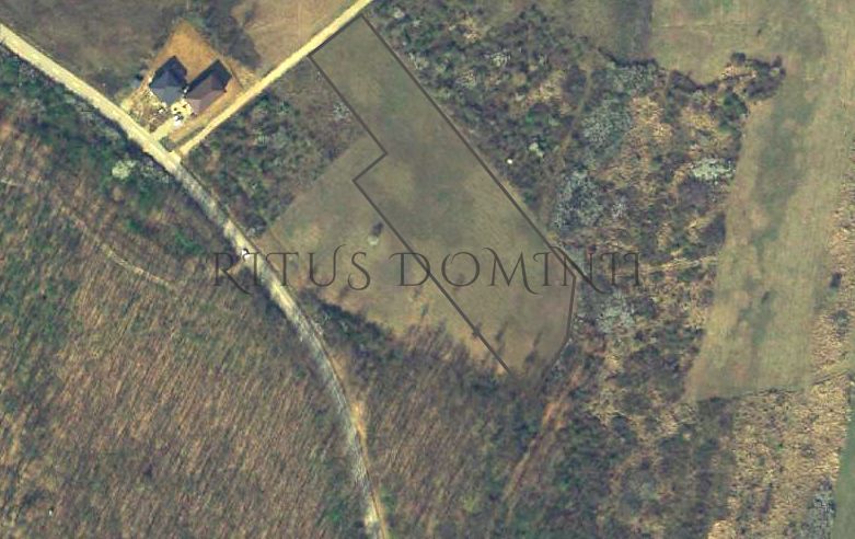 Teren Intravilan Parcelare, Lac Paleu, 8592mp, Deschidere 32ml - Schiță 3