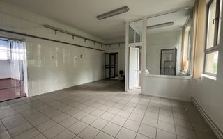 Sapient | Spațiu comercial _ Cantemir / Nufărul - Poză 12