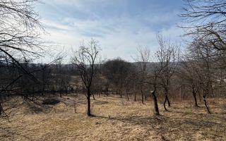 Teren intravilan 2788 mp deschidere 55 ml cu vedere panoramica ! - Poză 15