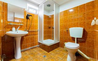 Casa + Pensiune deosebita - Orlat, Sibiu - Poză 42