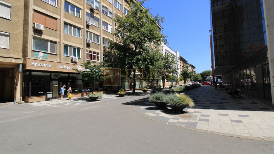 Piata Victoriei, 3 camere, pet-friendly - Poză 18