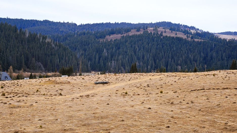 6636 mp TEREN in Statiunea Turistica Montana BELIS – FANTANELE, CLUJ - Poză 5