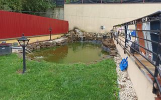 Apartament la casa 3 camere-curte-piscina-foisor-Zona Podul Jelnei - Poză 6