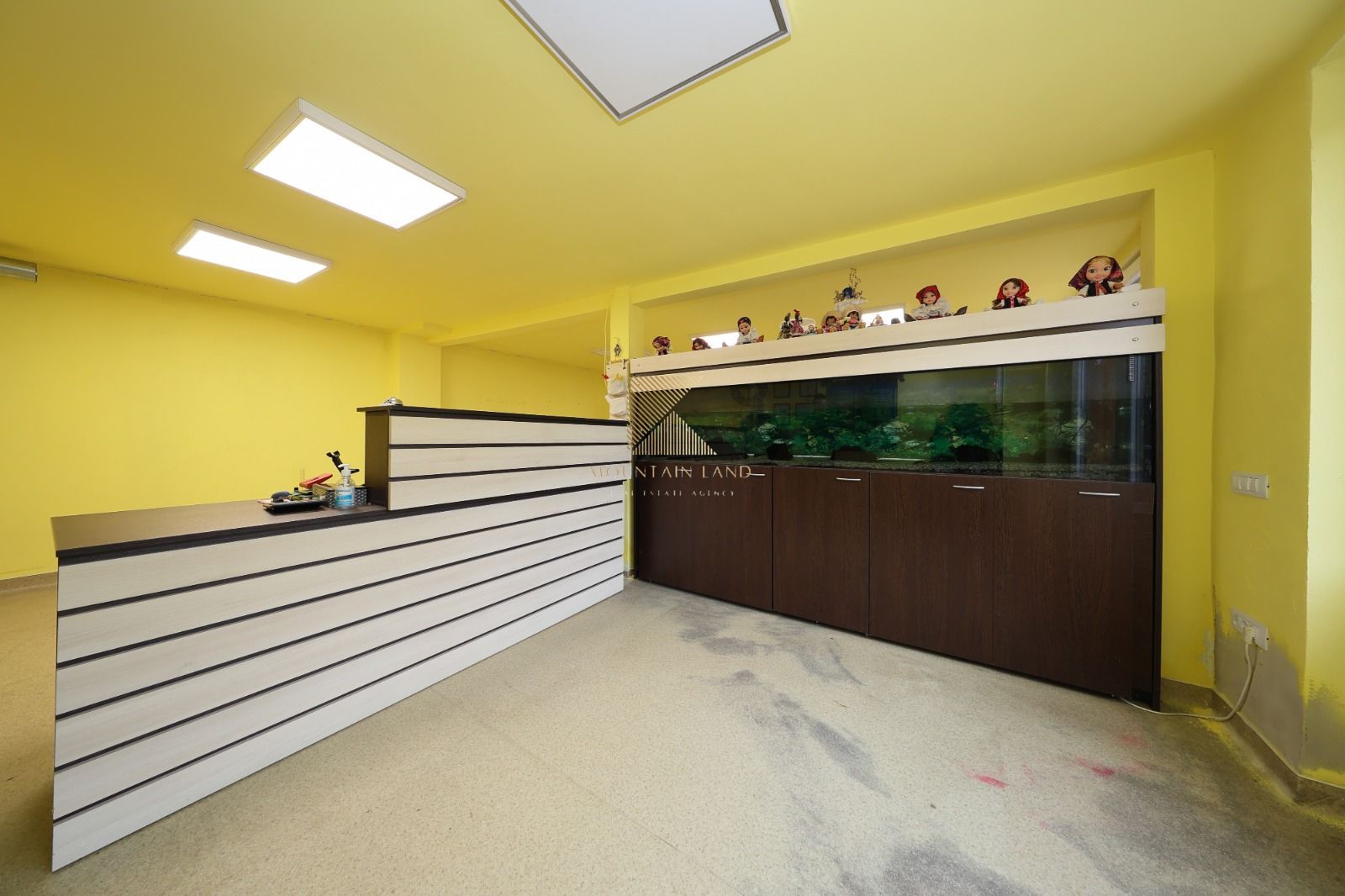 Proprietate mixtă cu spațiu comercial și locuință, Cristian - Poză 3