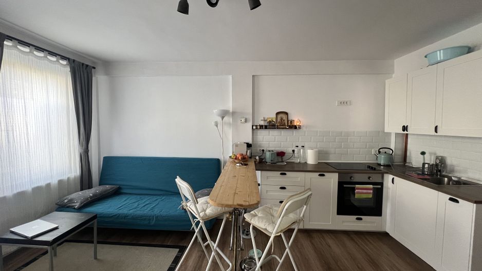 Casa cocheta Foisorul de Foc | Ferdinand - Poză 16