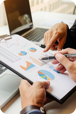 Servicii Adiționale și Specializate: