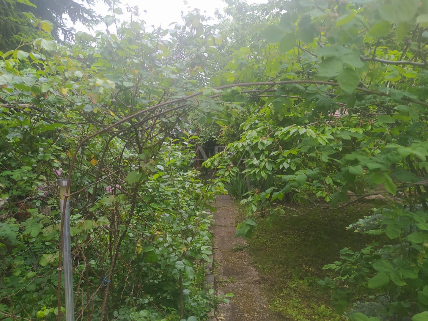 Liniște și Confort Aproape de Centru - Poză 8