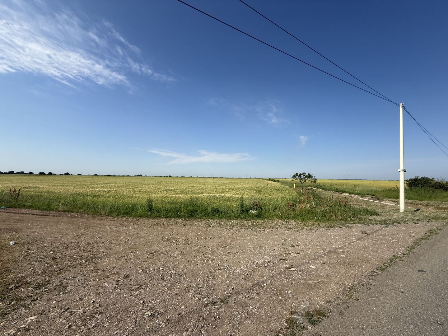 Teren 10 hectare pretabil pt panouri solare-Aricesti Rahtivani - Poză 1